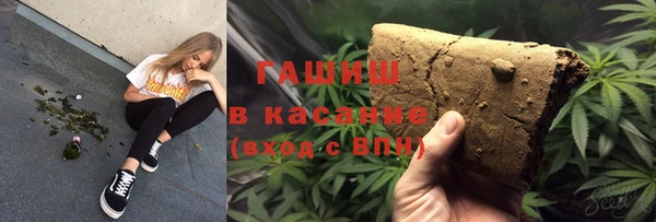 прущие грибы Елабуга