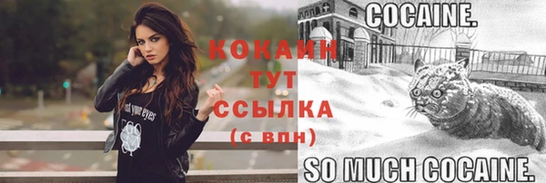меф Ельня
