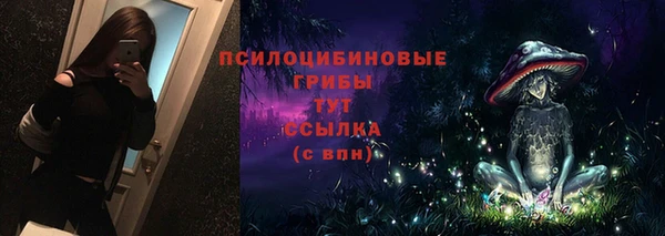меф Ельня