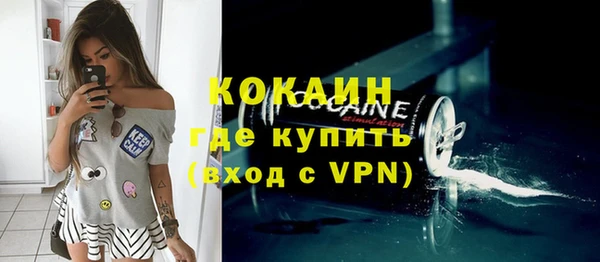 прущие грибы Елабуга