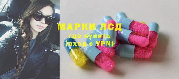 меф Ельня