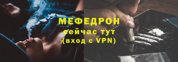прущие грибы Елабуга