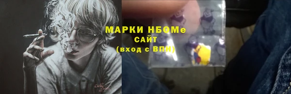 меф Ельня