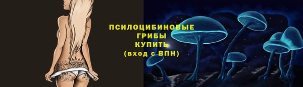 прущие грибы Елабуга
