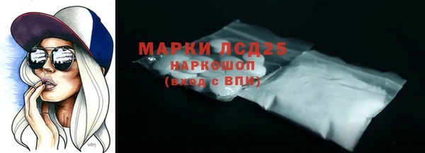 прущие грибы Елабуга