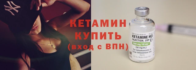 прущие грибы Елабуга