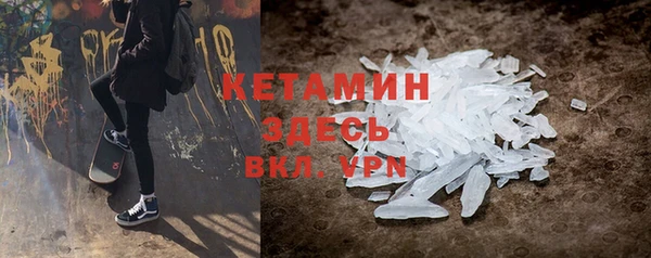 прущие грибы Елабуга