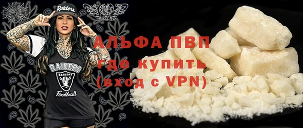 меф Ельня