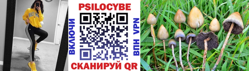 Галлюциногенные грибы Psilocybine cubensis  Купить  Тотьма 